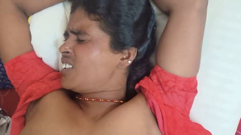 Möpse, fest, nah-ansicht